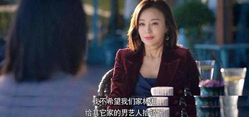 娱乐圈吃瓜无聊的小说,瓜田里的明星秘闻